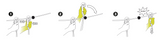 Edelrid Smart Belay X