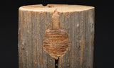 Challenge Course Woodpecker Repair Kit
